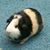 Mary Scott's profile image