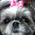 Midge Campbell's profile image