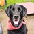 Amy DeLisle's profile image