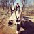 Sloane Becker's profile image
