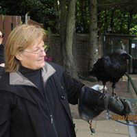 Cindy Stohler Smetana's profile image