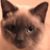 Danforth Mills's profile image