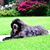Katherine Kramer's profile image