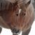 Mark Forte's profile image