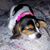 Keri Linsey-Renfro's profile image