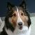 Jennifer Wochna's profile image