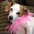 Lynn Williams Hobby's profile image