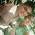 Rocky Rock's profile image