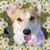 Lucy Ann Montgomery's profile image