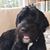 Kathleen Marya Chaisson's profile image