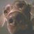 Amy Reuter's profile image