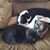 Patti Huhn's profile image