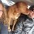 Rebecca Rau's profile image