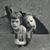 Melanie Boudar's profile image