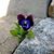 Nona O'Malley's profile image