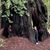 Shelia Eichman's profile image
