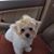 Sherry Waters's profile image