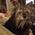 Artie Boehm's profile image