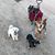 Lacy Mauch's profile image