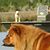 Mark N Robyn McGehee's profile image