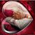 Carrie Lago's profile image
