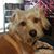 Seana Elaine Baker's profile image