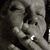 Sidney Danz's profile image