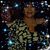 Eva Verdile's profile image