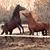 Teri Resch's profile image