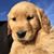 Mike McDonald's profile image