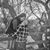 Cindy Littlejohn's profile image