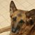Tyson Matthew Stauffer's profile image