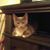 Betty R. Smith's profile image