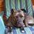 Shelly Willis's profile image