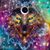 Amber Nicole Garibaldi's profile image