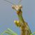 Jim Pritchard's profile image