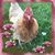 Sarah Gilliam's profile image