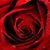 Keeva Cox's profile image