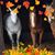 Brenda Grubb's profile image