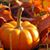 Patti Laskowski Elwell's profile image