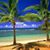 Debra DeMatteo's profile image