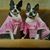 Karen Kelly's profile image