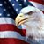 Bill Gosk's profile image