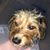 Wilma Gillett's profile image