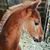 Eric McAtee's profile image