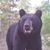 Kelly Doster's profile image