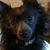 Maureen Mead's profile image