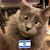 Emuna Jhirad's profile image