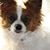 Lola Fultz's profile image