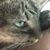 Betsy Murphy's profile image